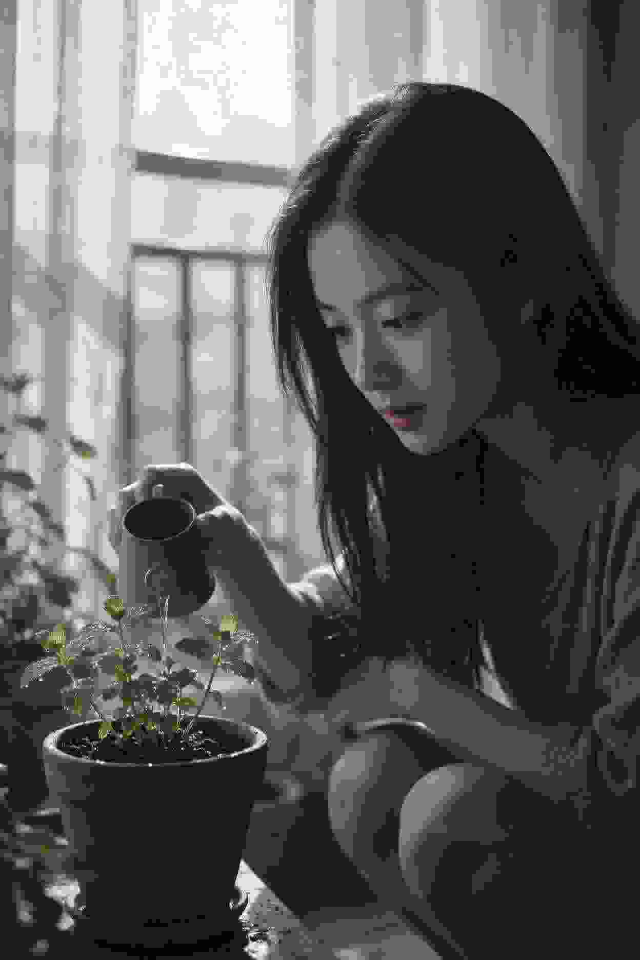 龙族秘密