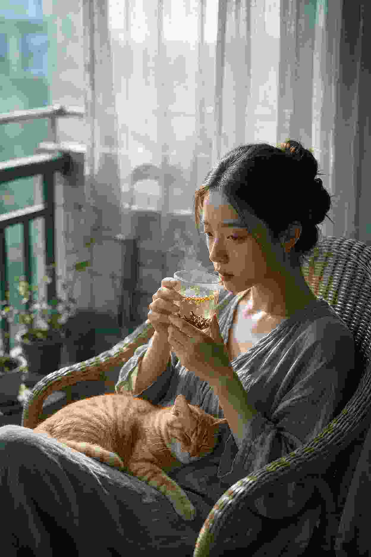 虫洞计划